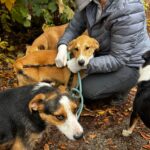 561725837 1211730594318086 8887934350023089249 n