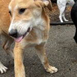 561979518 1211730724318073 9037322631604610076 n