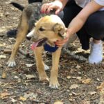 562285304 1210540004437145 2788854875858290741 n