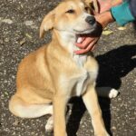 562998113 1211730930984719 4103907038961407348 n