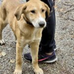 565296825 1211731017651377 5223198518285757411 n