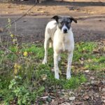 583008509 1237672928390519 745845476509993731 n