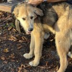 583318655 1236626761828469 6440738657911083164 n