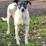 583473464 1237672995057179 2369906671784194918 n