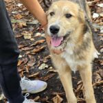 583488066 1236626658495146 4019939451994243111 n