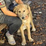 583737011 1236626698495142 8032842322378959123 n