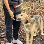 584020823 1236626681828477 7409592646086676280 n