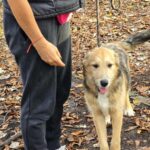 584317706 1236626675161811 3280284552624594257 n