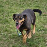 585043794 1243688367788975 6272277780760664616 n