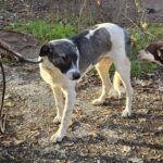 585567550 1237672958390516 2978644294097758604 n