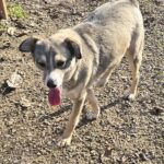 585883943 1240011571489988 7490317301095284949 n