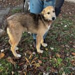 586332179 1240932728064539 4371277969182043343 n