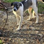 586400634 1237672945057184 3296181685865495399 n