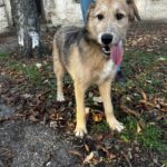 586603409 1240932748064537 4209004648029887005 n