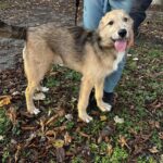 586614764 1240932734731205 652994652318941261 n