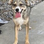 587155493 1240011691489976 5218159702686185920 n