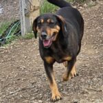 587493892 1243688457788966 494667981399150906 n 1