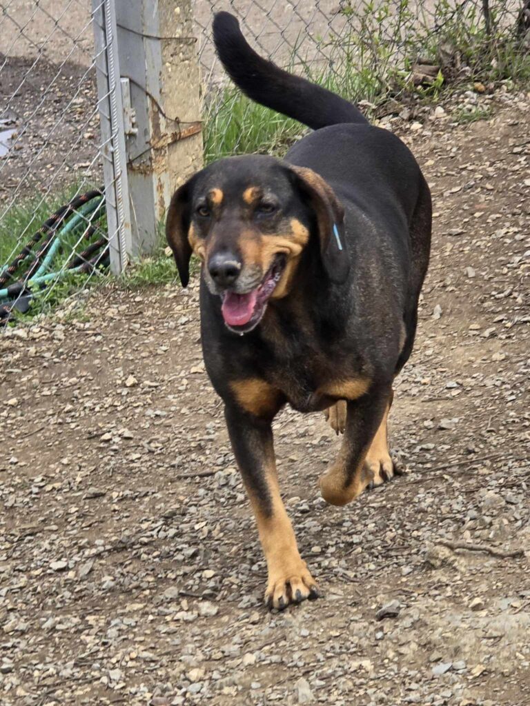 587493892 1243688457788966 494667981399150906 n 1