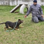 588429571 1243688277788984 8130092621754512497 n