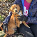 588800926 1244326947725117 2088095443846627081 n