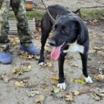 588883626 1243836767774135 1943157986819082198 n