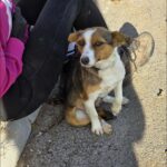 589107428 1244013847756427 2564210670425216255 n