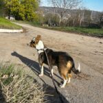 589209915 1244018857755926 499642407386825300 n