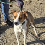 589284891 1244632424361236 6739147157767681477 n