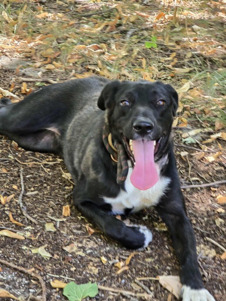 589413920 1243836804440798 3891519732341244779 n