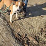 590203805 1244632071027938 4558205829088322843 n