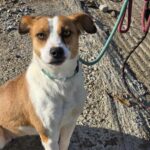 590221582 1244632014361277 6028106574589868 n