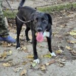 590286856 1243836737774138 3584005401858502663 n