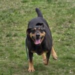 590646559 1243688371122308 3855559408164087316 n