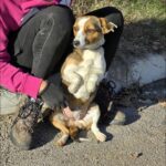 590923696 1244014094423069 5814409592967075421 n