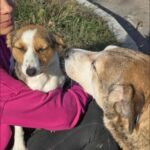 590983306 1244018997755912 2260593914950912570 n