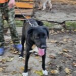 591250290 1243836904440788 5369937434374166122 n