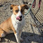 591273313 1244632031027942 1325397551563339464 n