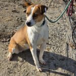 591975441 1244632307694581 5789326611319204780 n