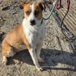 591992353 1244632531027892 1100289096793914090 n