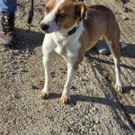 592068741 1244632361027909 7017431844185210926 n 1