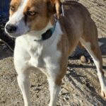 592147219 1244632191027926 306974441509398870 n