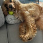 593540955 1252182930272852 8913116766784150547 n