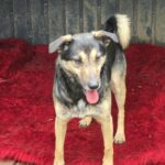 594313961 1250217357136076 8408589729478646138 n