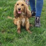 595138137 1252179953606483 5321684619460455594 n