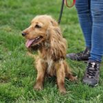 595294298 1252180000273145 6660517444360053433 n