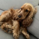 595662145 1252183013606177 4517184957179436420 n