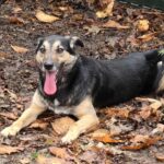 595708717 1250217263802752 257884230974387362 n