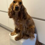 595780447 1252183036939508 8948403496285121609 n