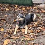 595816312 1250217387136073 4352896541094339245 n