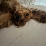 596669065 1252183010272844 5428687406158420025 n